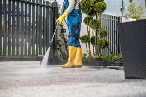 Best Brick and Stone Cleaning in Volo, IL